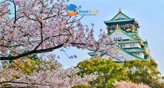 [HCM] Tour Nhật Bản Hành Trình Vàng Đẹp Nhất 2026